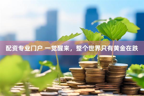 配资专业门户 一觉醒来，整个世界只有黄金在跌