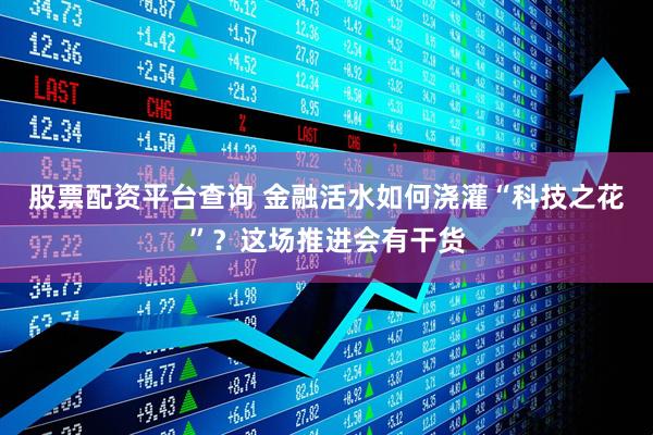 股票配资平台查询 金融活水如何浇灌“科技之花”？这场推进会有干货