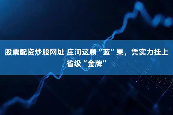 股票配资炒股网址 庄河这颗“蓝”果，凭实力挂上省级“金牌”