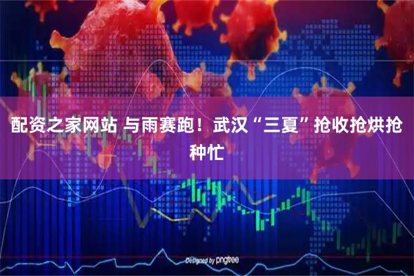 配资之家网站 与雨赛跑！武汉“三夏”抢收抢烘抢种忙